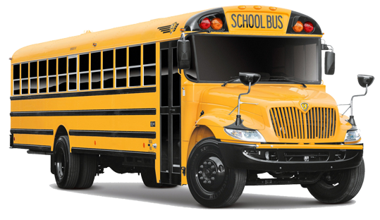 bus